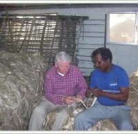 men siting on pile of hemp fibers